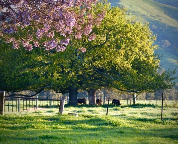 Alexandra Farmstay 외부 사진